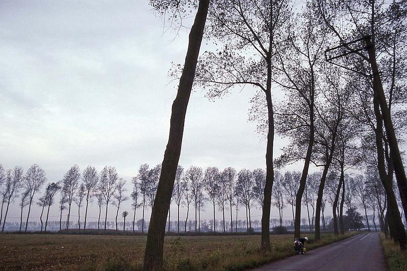 WT 2000 263-12 Belgium.jpg